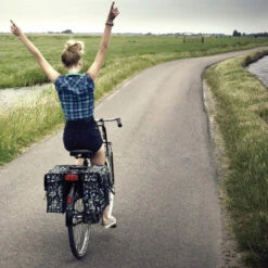 Vélo Accessoires Boutique -Vélo Accessoires Boutique double sacoches velo 35l wanderlust basil full 2