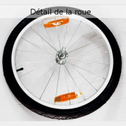 Remorque Pour Vélo Maxxus - 2 Places -Vélo Accessoires Boutique remorque pour velo maxxus 2 places full 4
